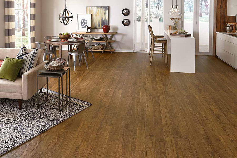 Dining room with a plush area rug